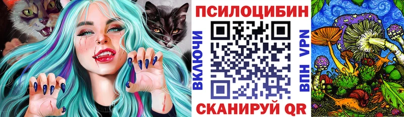 где купить наркотик  Чулым  Галлюциногенные грибы Cubensis 